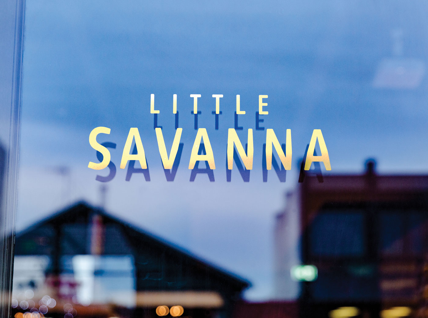 LSL Little Savanna 01