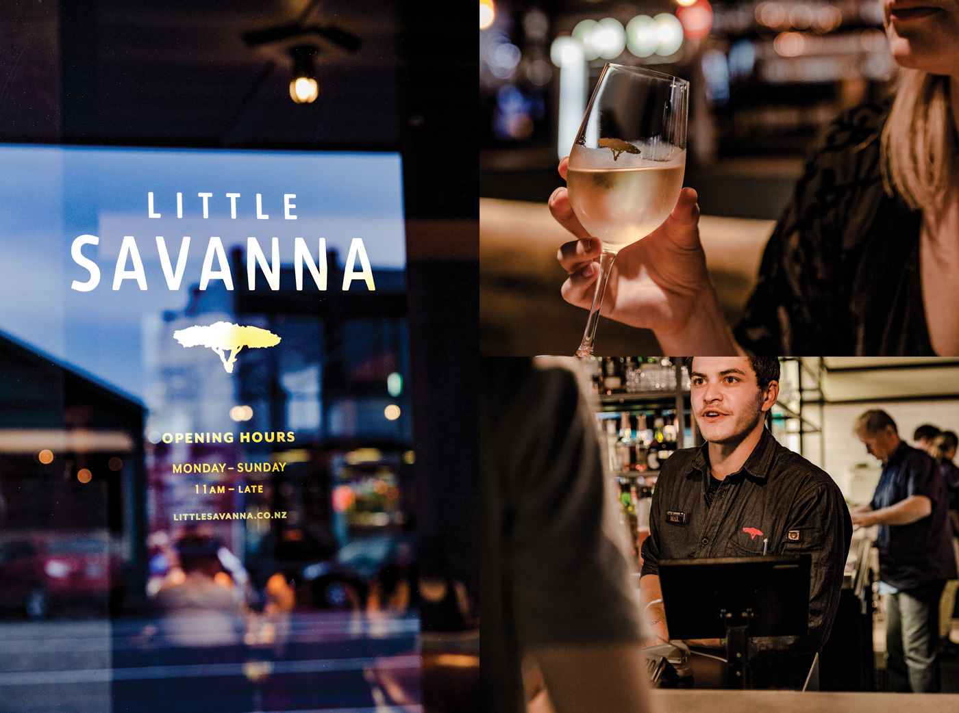 LSL Little Savanna 05